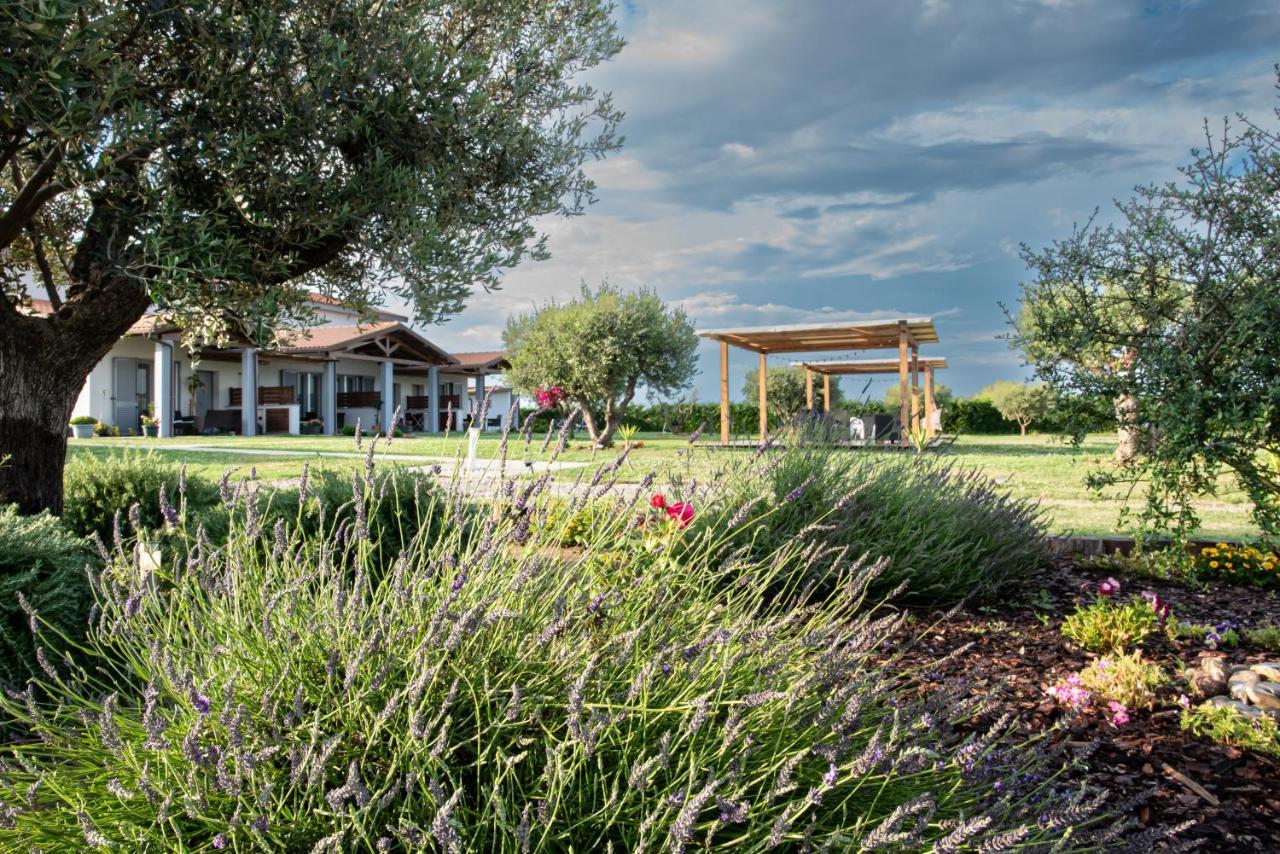 Residence La Pace - Pool & Relax Marina di Grosseto Exterior foto