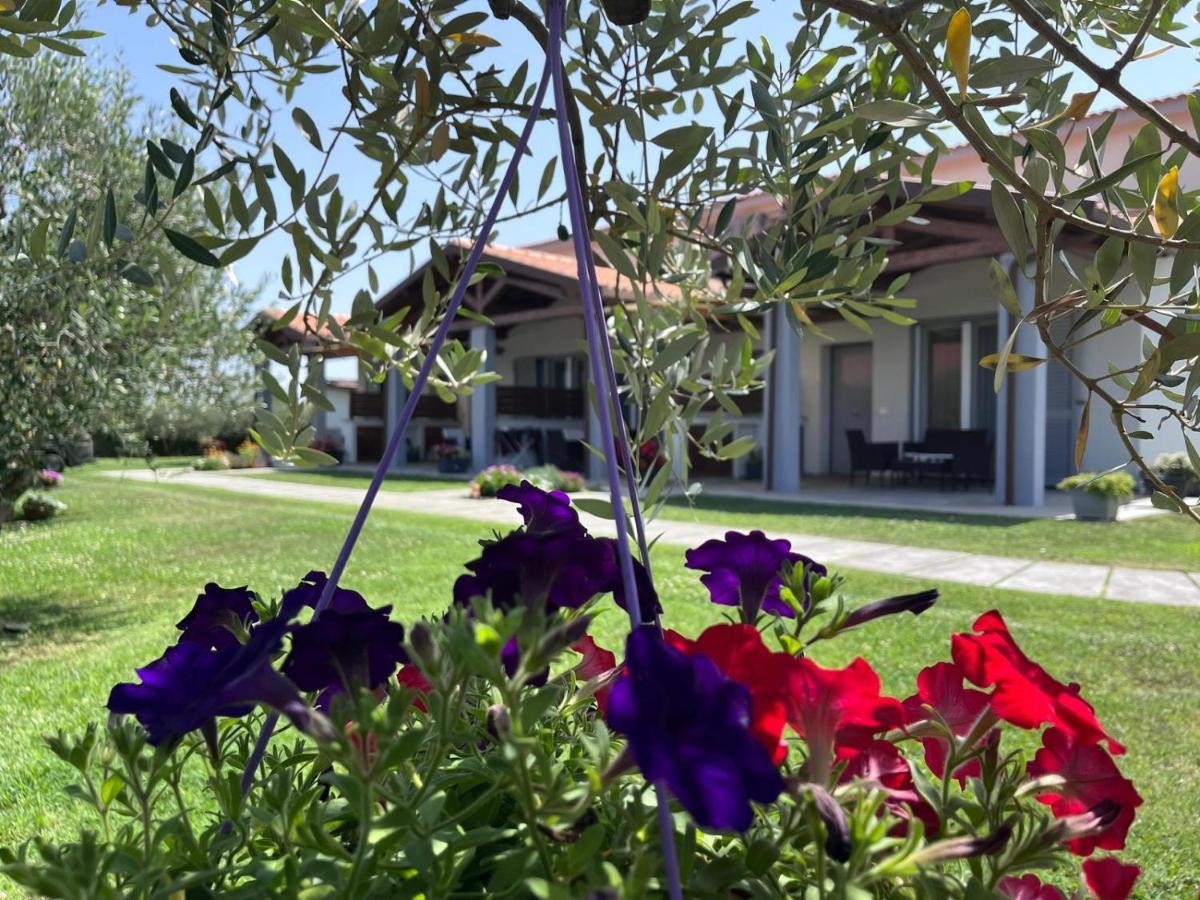 Residence La Pace - Pool & Relax Marina di Grosseto Exterior foto