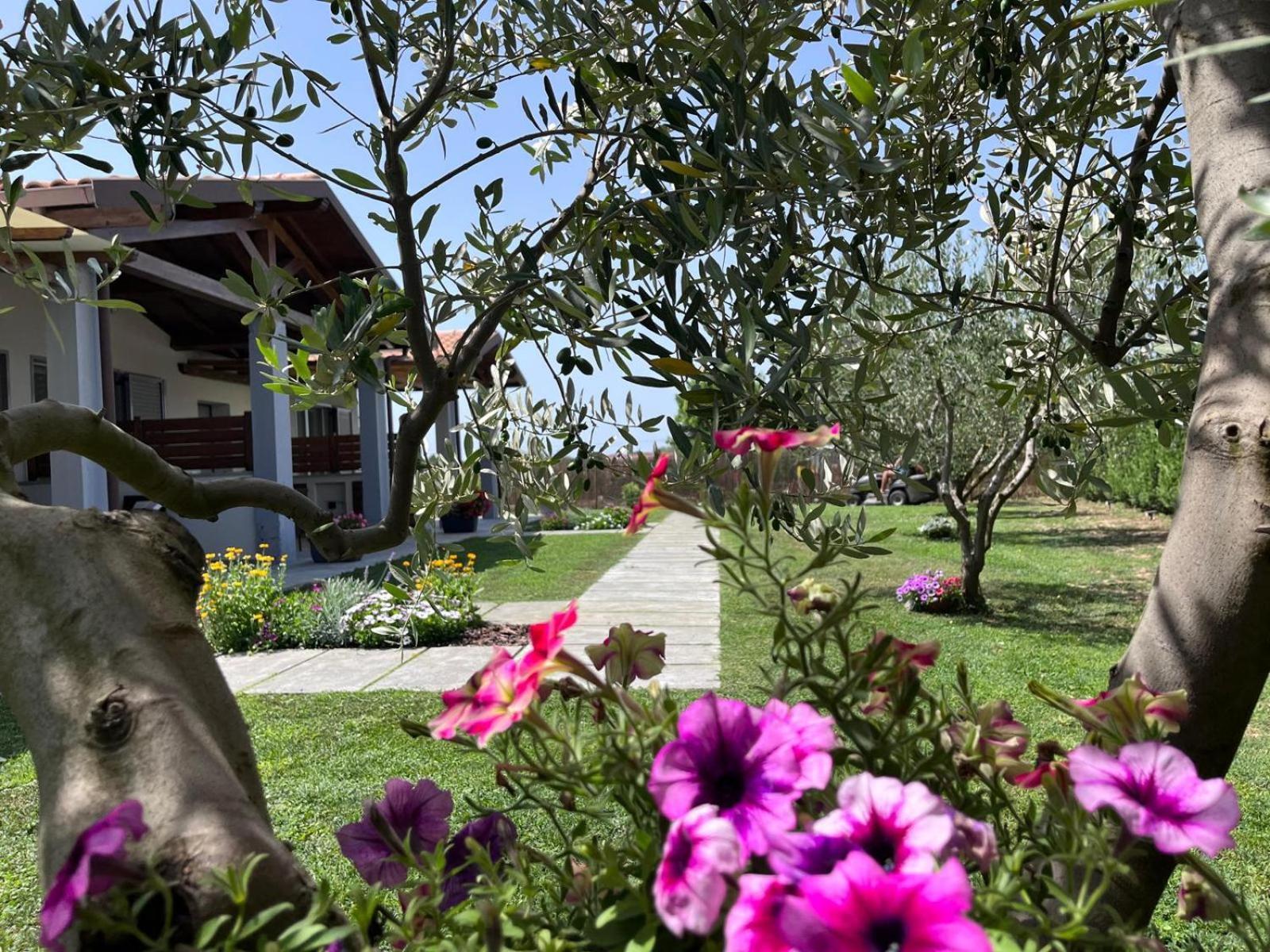 Residence La Pace - Pool & Relax Marina di Grosseto Exterior foto