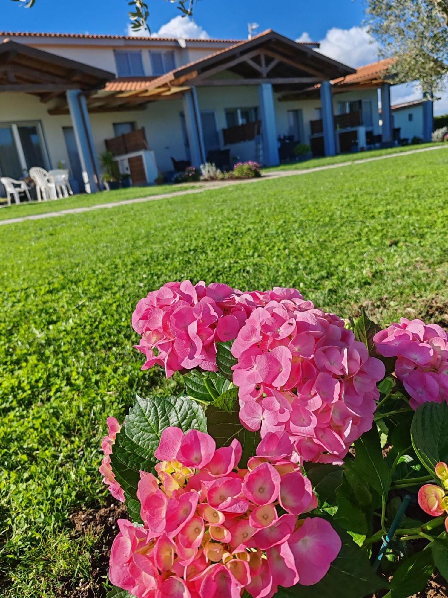 Residence La Pace - Pool & Relax Marina di Grosseto Exterior foto