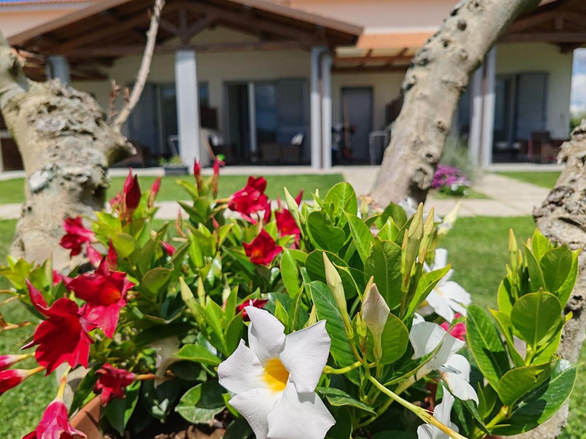 Residence La Pace - Pool & Relax Marina di Grosseto Exterior foto