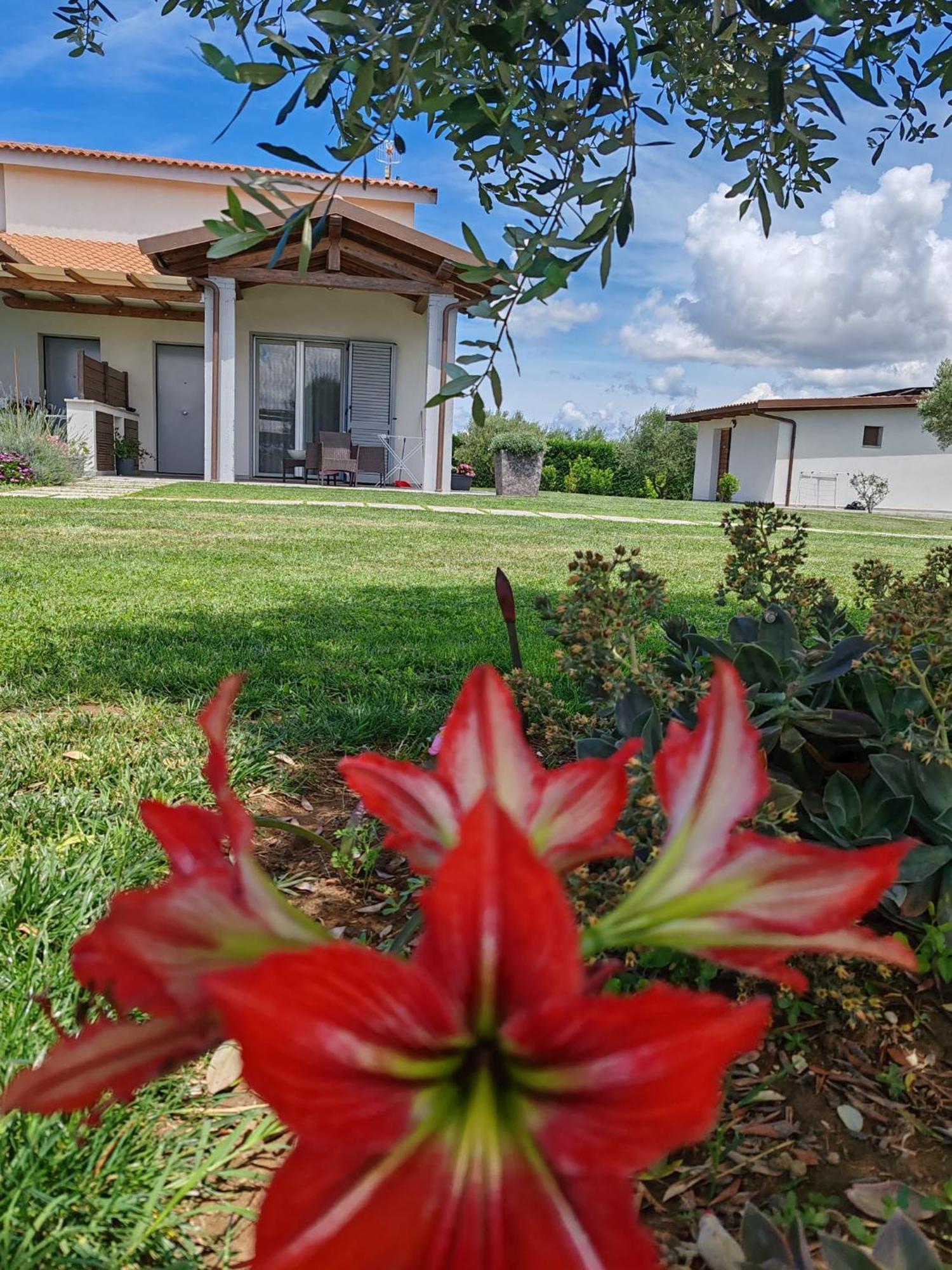 Residence La Pace - Pool & Relax Marina di Grosseto Exterior foto