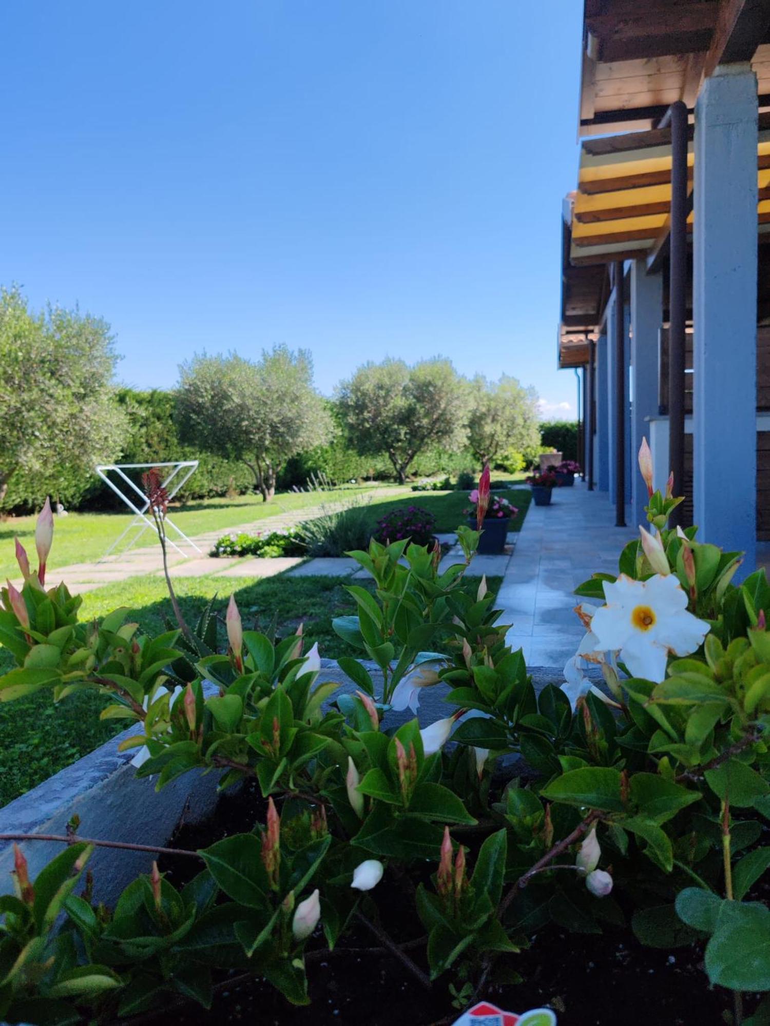 Residence La Pace - Pool & Relax Marina di Grosseto Exterior foto